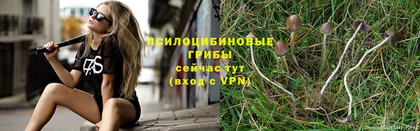 крисы Медногорск