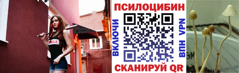 Галлюциногенные грибы MAGIC MUSHROOMS  Ростов-на-Дону 