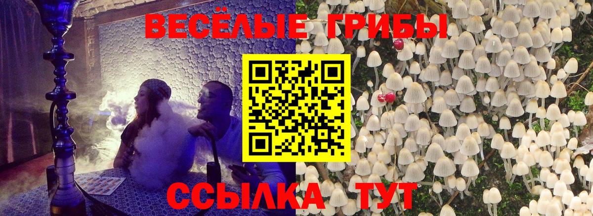 Галлюциногенные грибы Cubensis Ростов-на-Дону