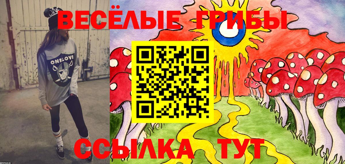 Ростов-на-Дону  Галлюциногенные грибы GOLDEN TEACHER  Вход с VPN 