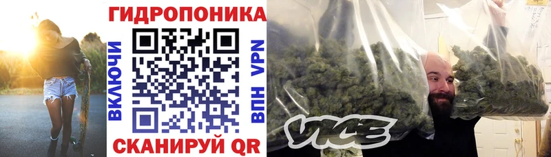 закладки  Ростов-на-Дону  Каннабис семена 